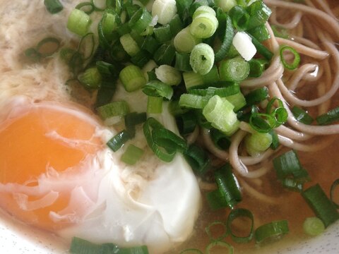 麺つゆでかけそば